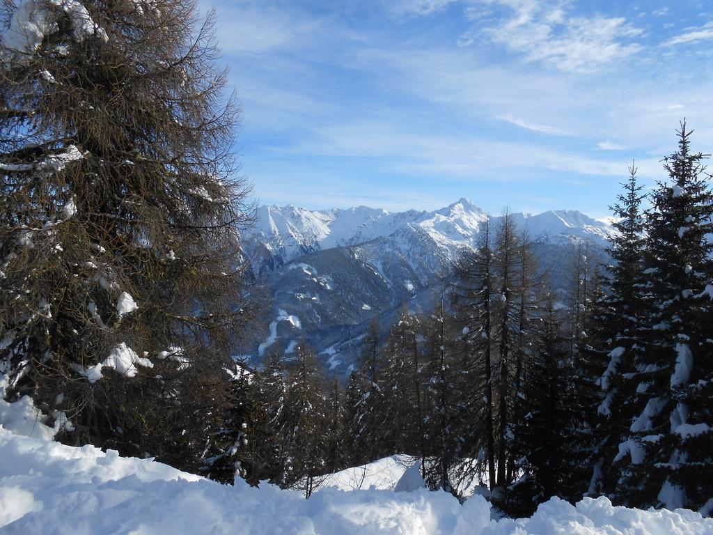 Appartement Haus Gatterer Obertilliach Buitenkant foto
